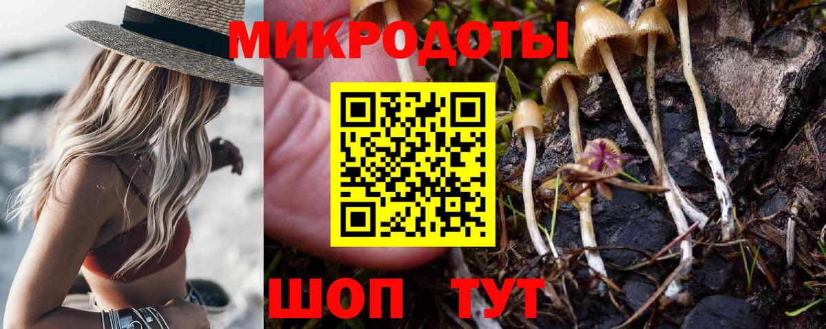 Галлюциногенные грибы Psilocybe  Вход с VPN  Псилоцибиновые грибы Cubensis  закладки  Елец 